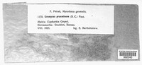 Image Associated With the Occurence